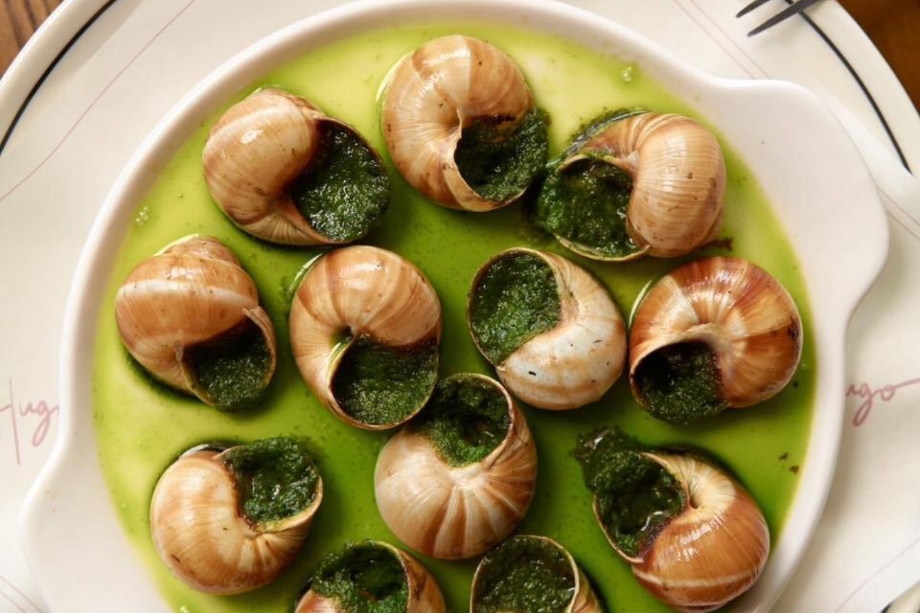 571161320 1253154770162131 4451418522106483146 n