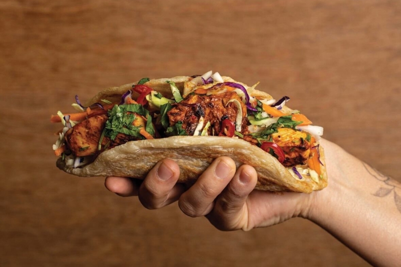 Bird on a Wire Elliot