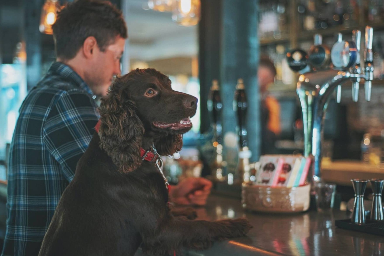 Eat drink paw bar eatery