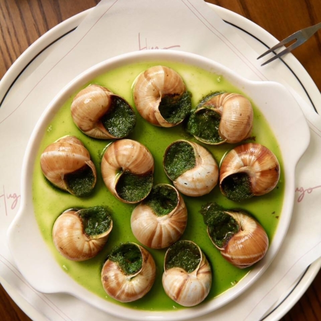 571161320 1253154770162131 4451418522106483146 n